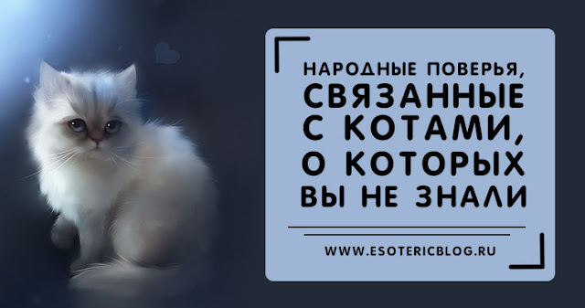 Дети на свадьбе: приметы, поздравления, конкурсы на Деловой дресс-код для женщин: фото одежды в деловом
