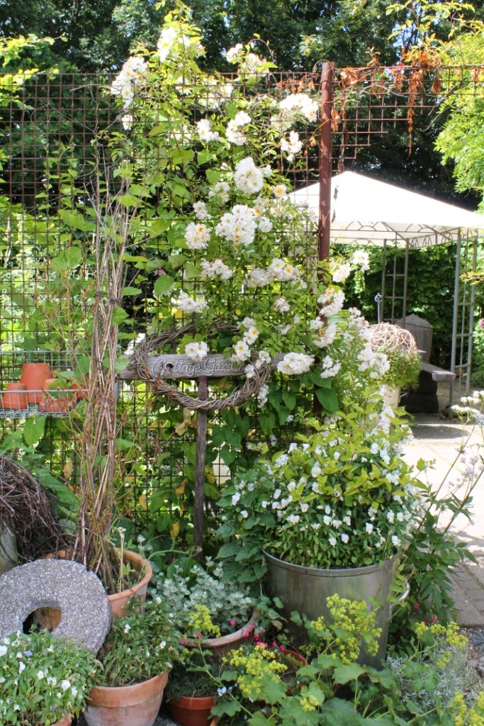 Bente i haven: lykkefund