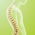 9 Mitos e Verdades sobre a Coluna Vertebral