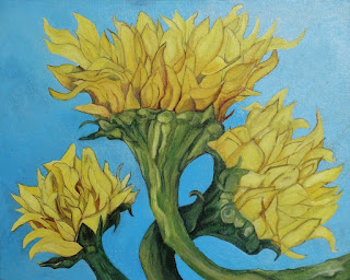 Sunflowers Three Grouping of three flowers seen from below. Yellow flowers with green stems against an asure summer sky.