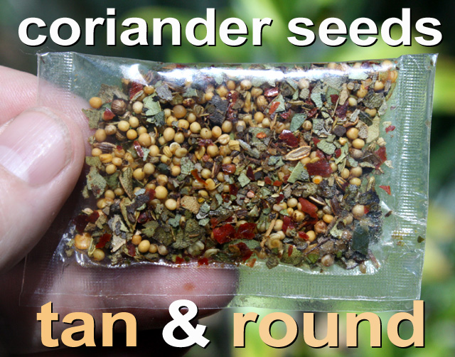 Image Result For Spices For Corned Beef Image Result For Spices For Corned Beef