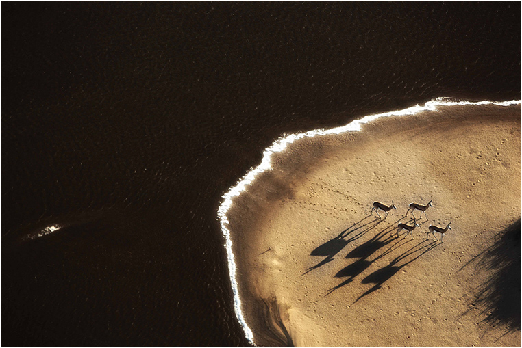 Emerging Photographers, Best Photo of the Day in Emphoka by Mario Gerth Emerging Photographers, Best Photo of the Day in Emphoka by Mario Gerth