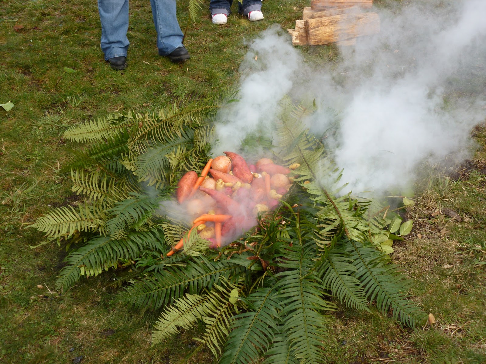 Wild Harvests Earthen Pit Oven