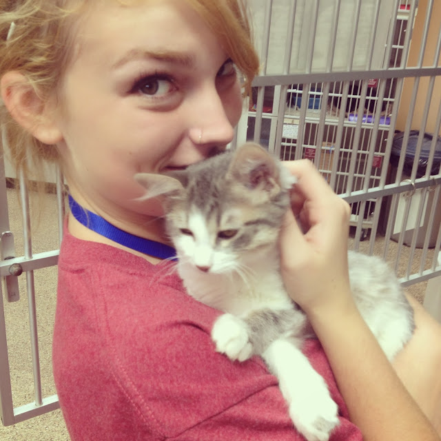 stella kitty