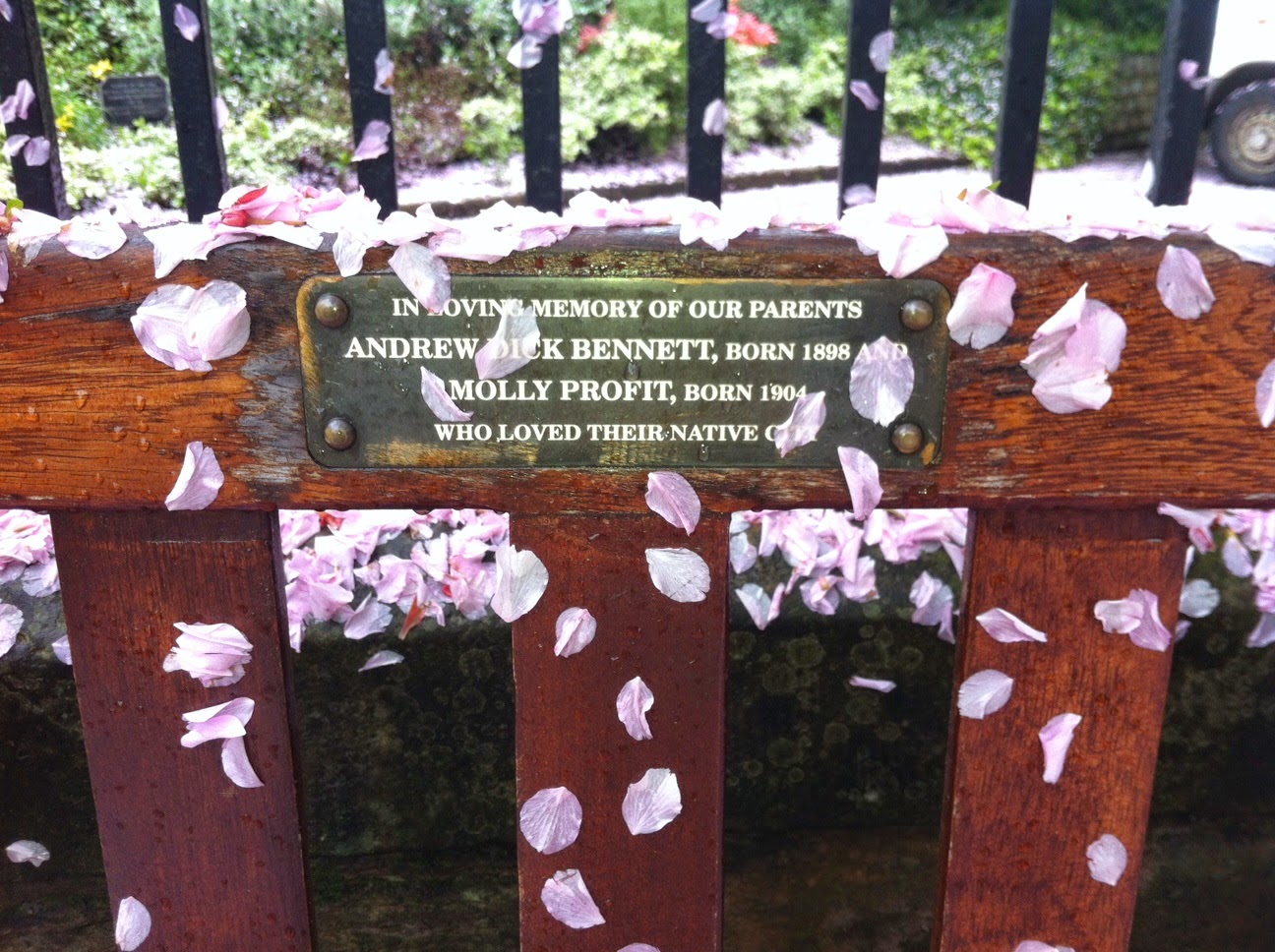 Love of Scotland Cherry Blossom Death