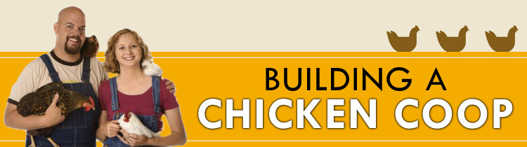 how to build a chicken house,