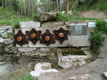 La Font del Puig La Font del Puig