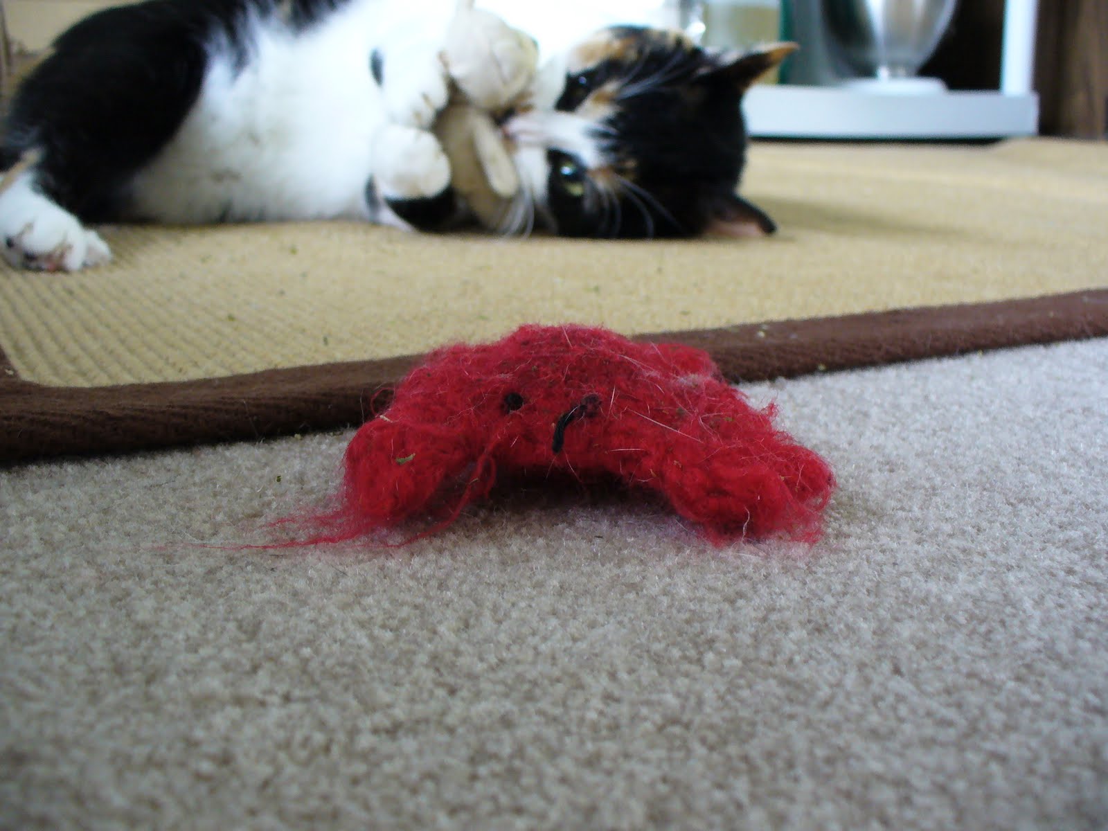 Cat Crab
