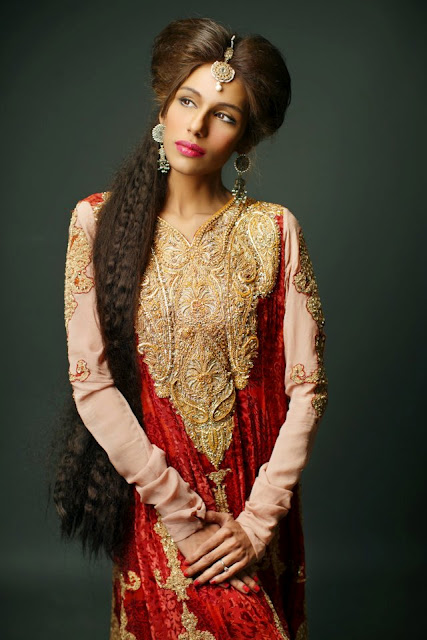 Embroidered Party Wear Collection, Embroidered Dresses Shamaeel