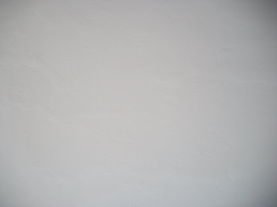 Pared Blanca