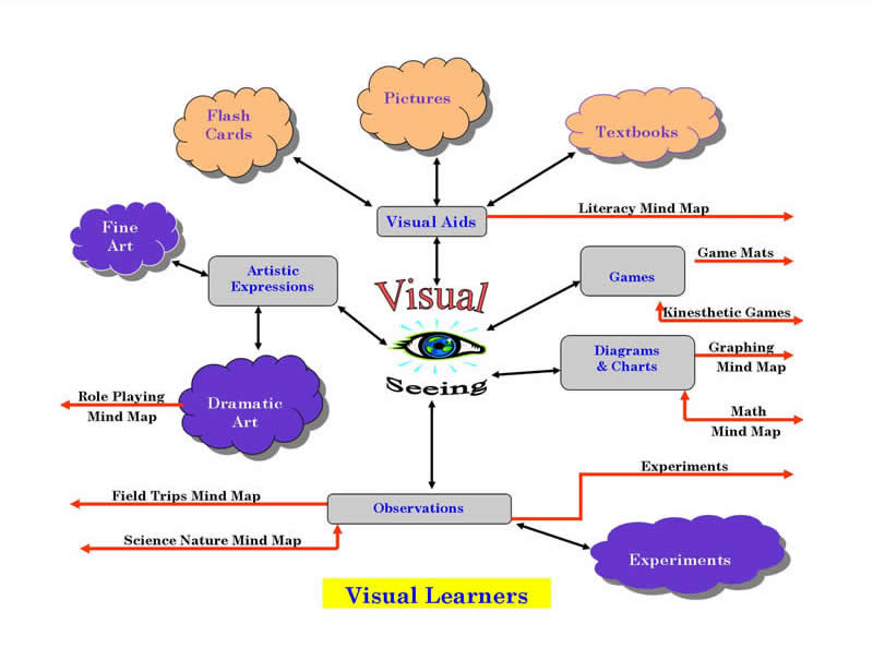 My Learning Styles Are Kinesthetic And Visual