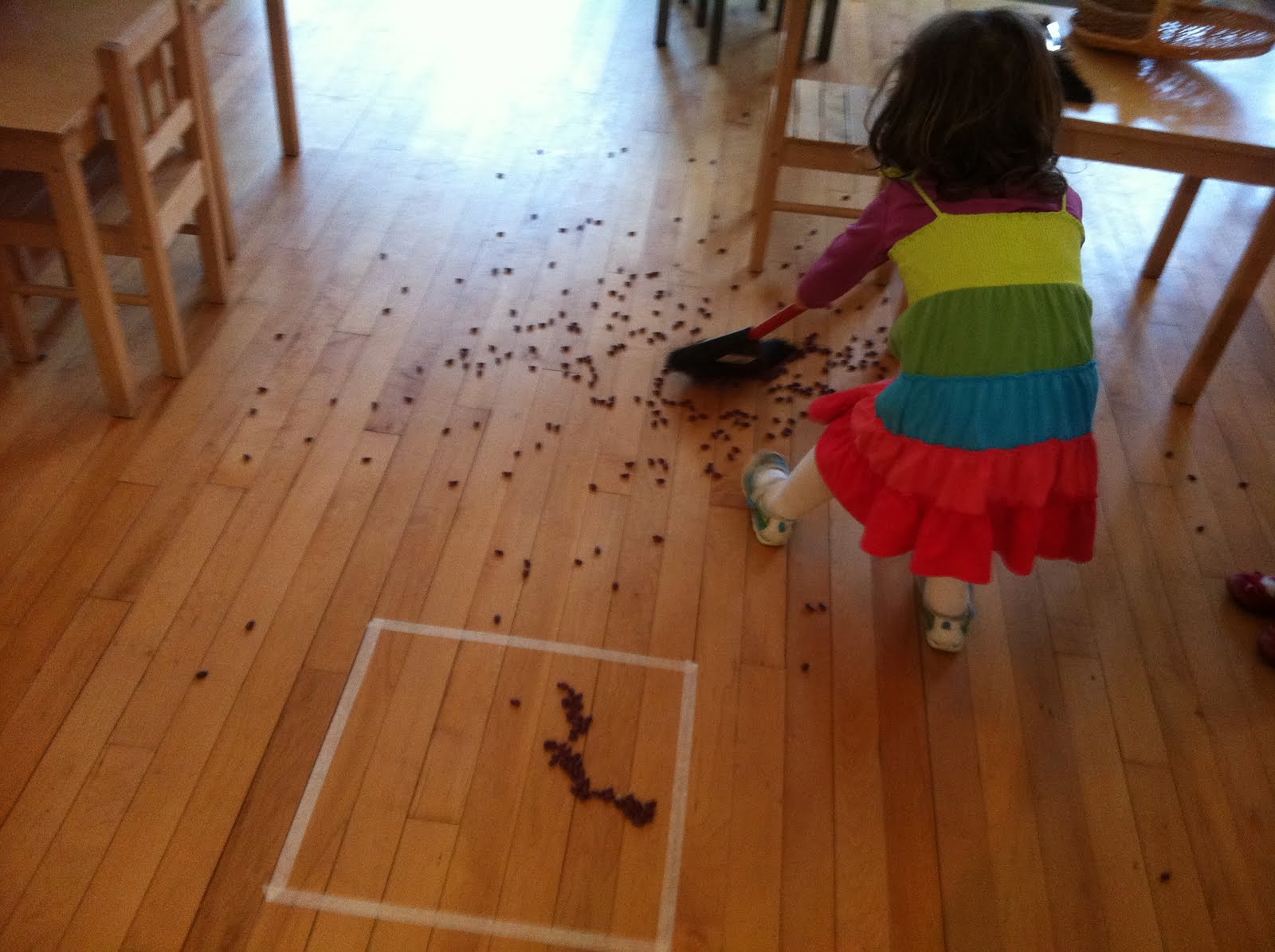 Michelle's Maple Tree The Sweeping Square