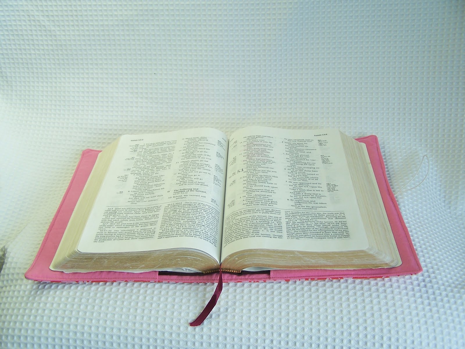 life with the libbys bible book covers