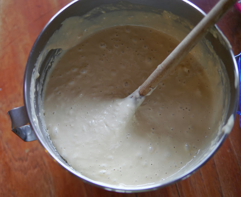 Homemade Artisan Crackers by Josée Bergeron