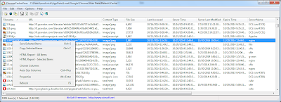 Melihat Cache Browser Cara Melihat Isi File Cache Browser Firefox dan Chrome