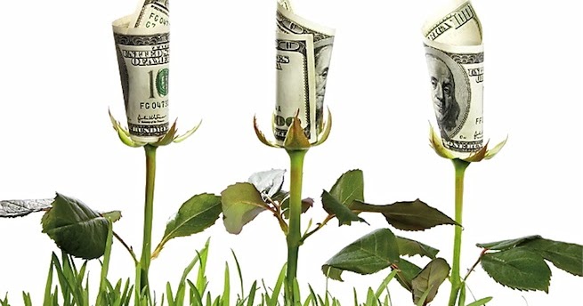 Naturaleza y vida ¿ ECONOMÍA ECOLÓGICA?