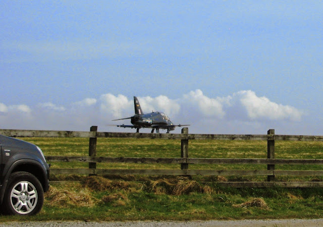 Hawks at RAF Valley, Anglesey