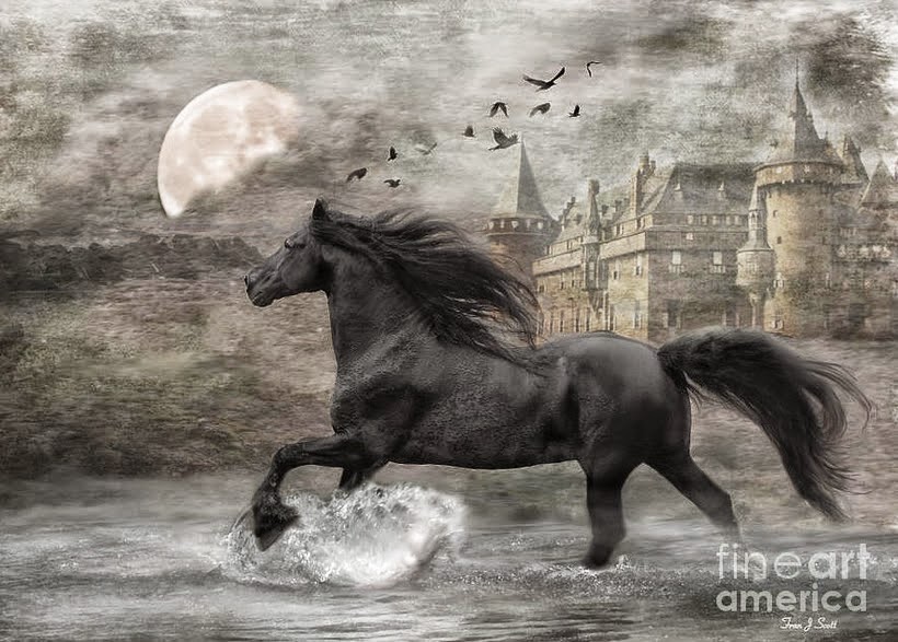 las-mejores-fotos-de-caballos imagenes de fotografias-de-caballos-finos