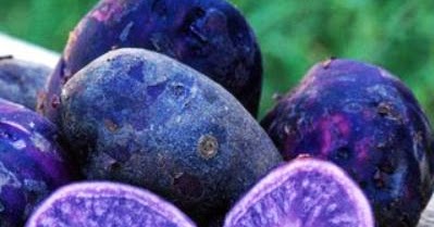 The Phytophactor: How does blue taste?