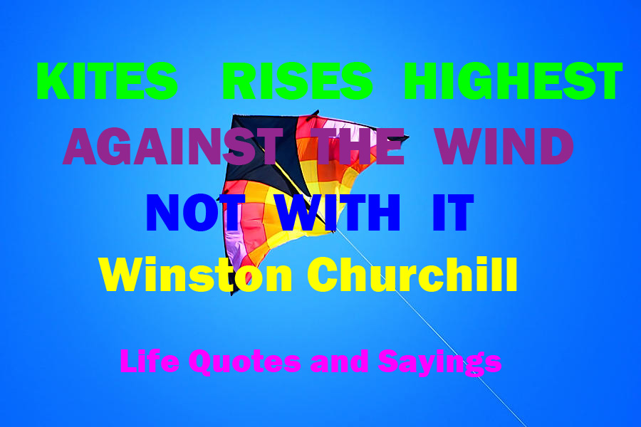 Life Quotes and Sayings Kites Rises Highest Against the Wind Not With It