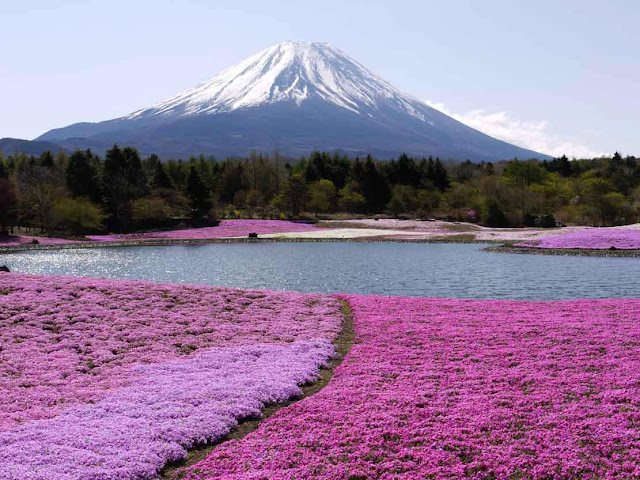 Fuji Mountain, Japan