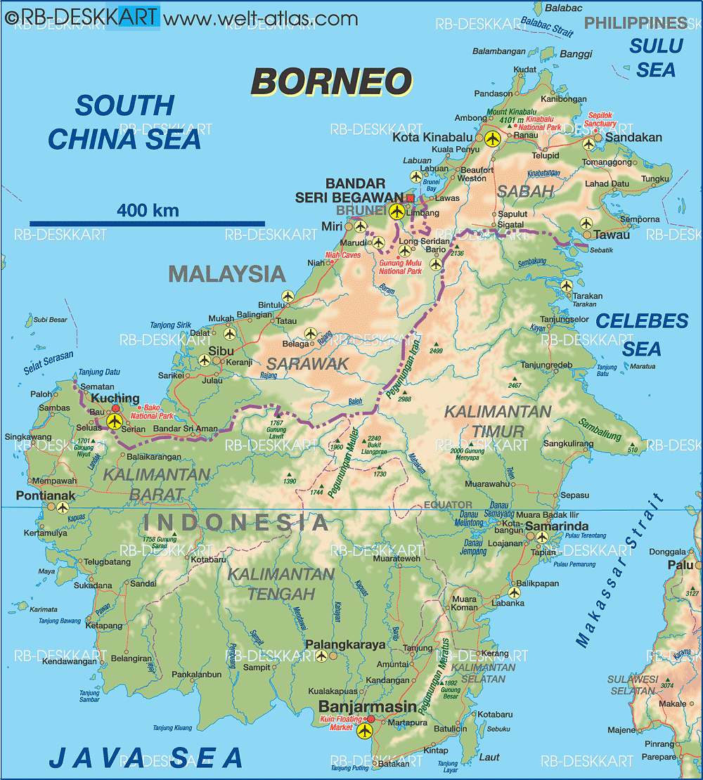 Wild Adventure - Central Borneo island: Guard Black Orchid