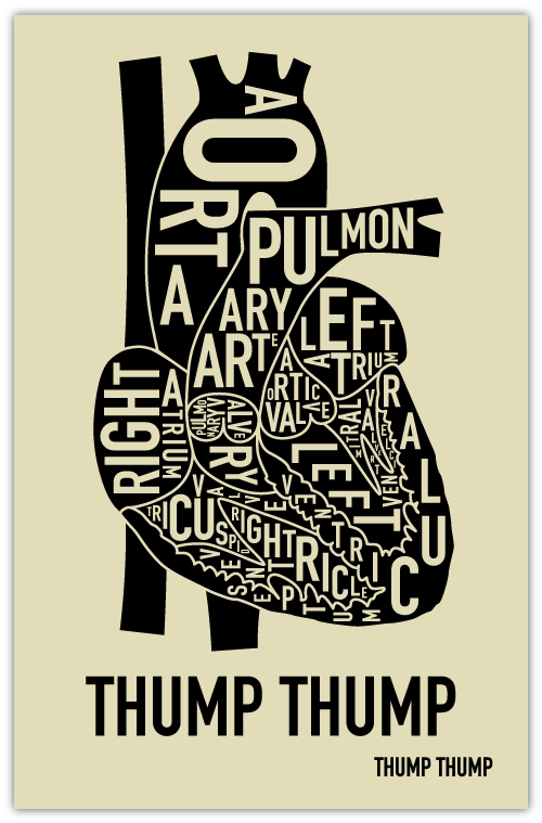 Heart Anatomical