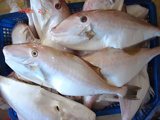 nha trang beach city, nha trang attractions, nha trang beautiful beach, vinpearl land nha trang, six senses nha trang