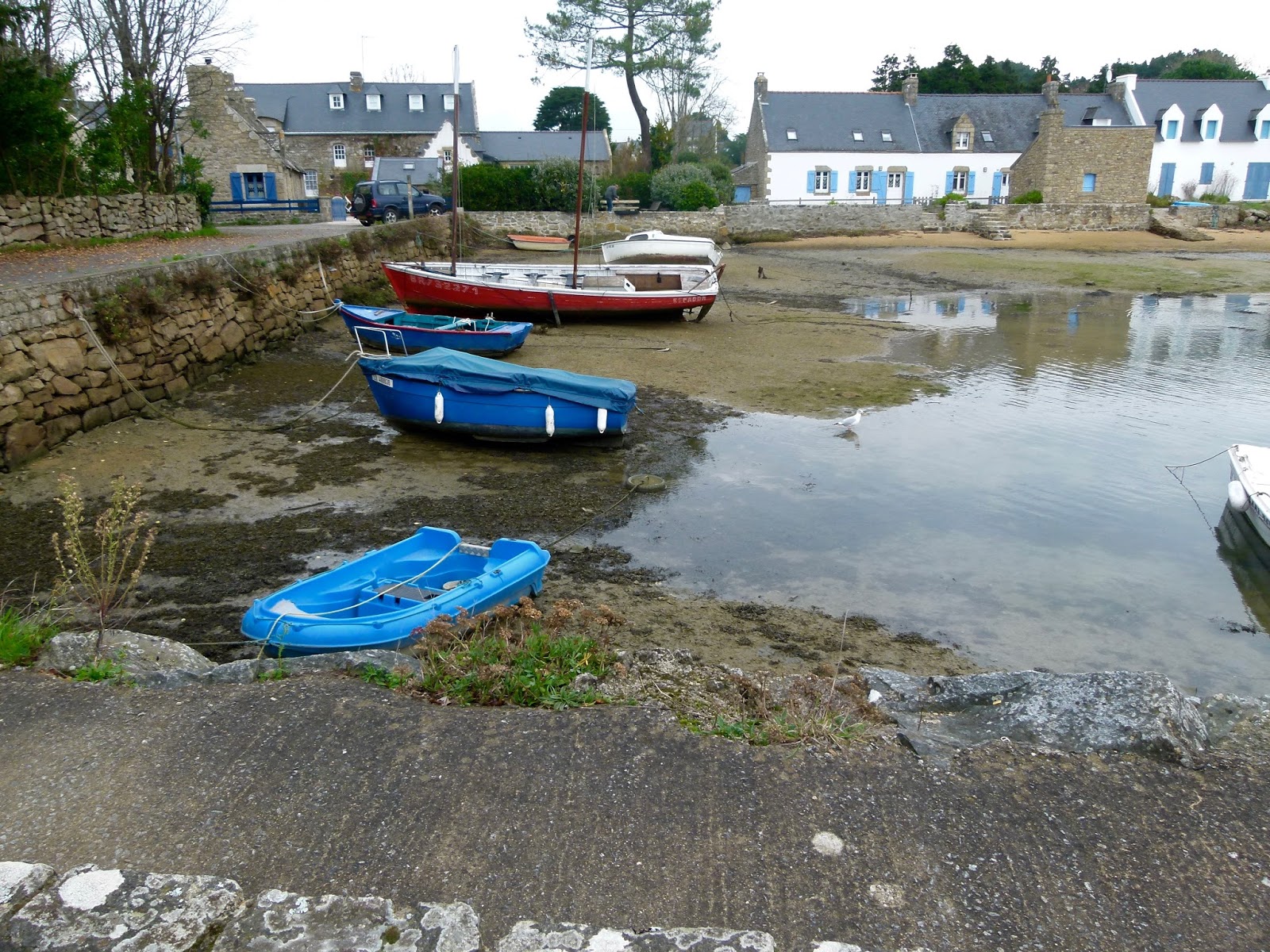 Decor Cotier Gros Interessant