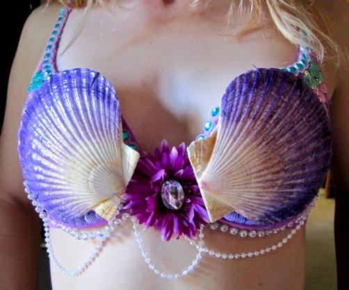 Little Mermaid Seashell Bra Top.