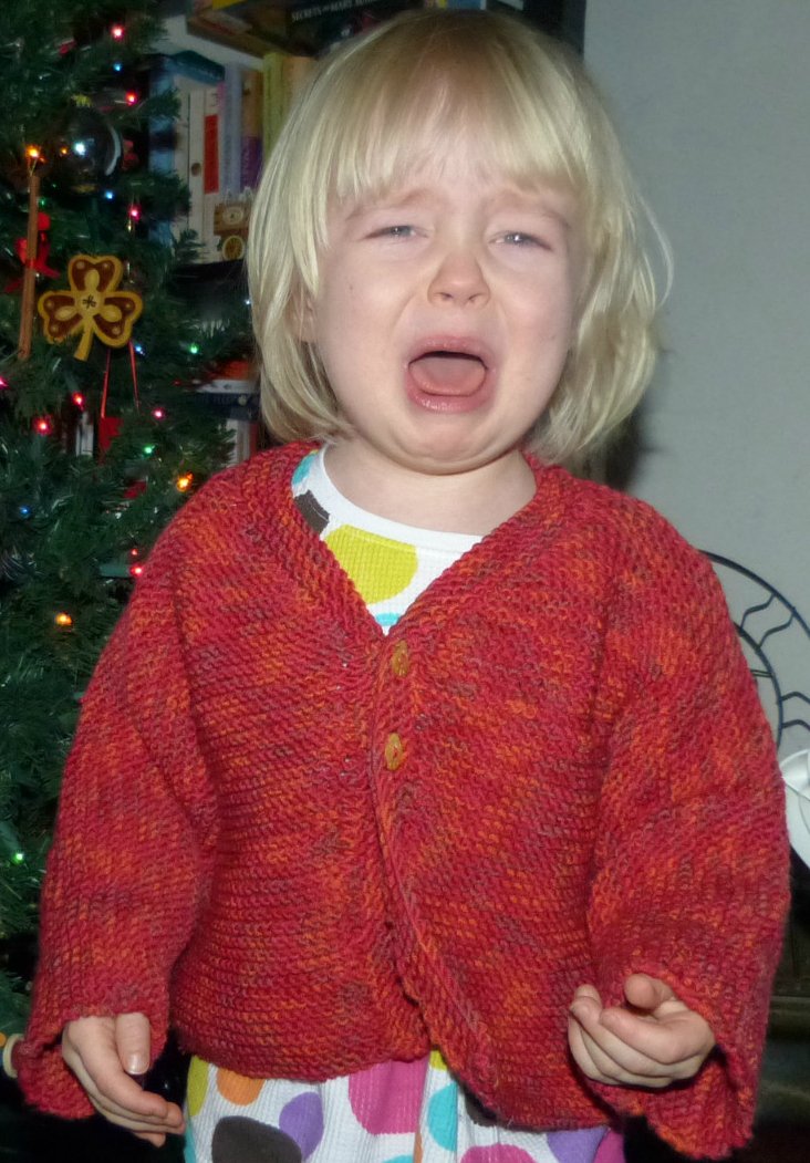 How To Make My Chicken Coop Smell Better coop plans template