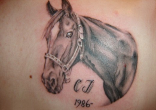 Asian-Horse-Tat...