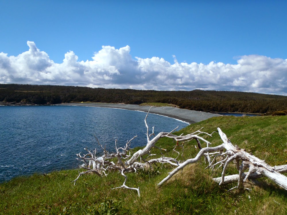 My Newfoundland Kayak Experience Sticking it to the duck in Wild Cove