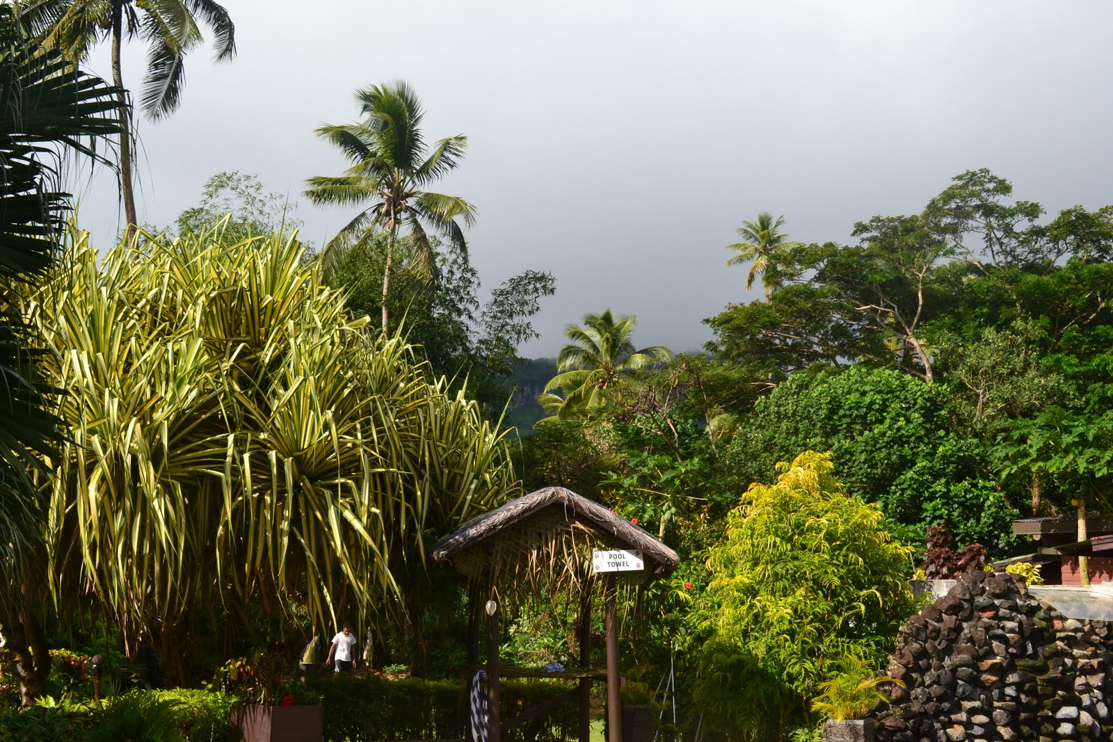Mountains In Fiji