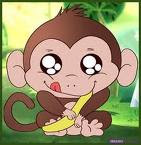 Cute Monkey