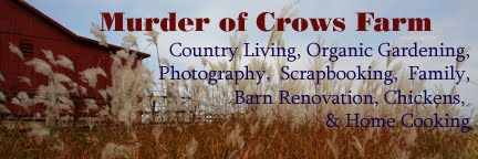 Murder of Crows Farm