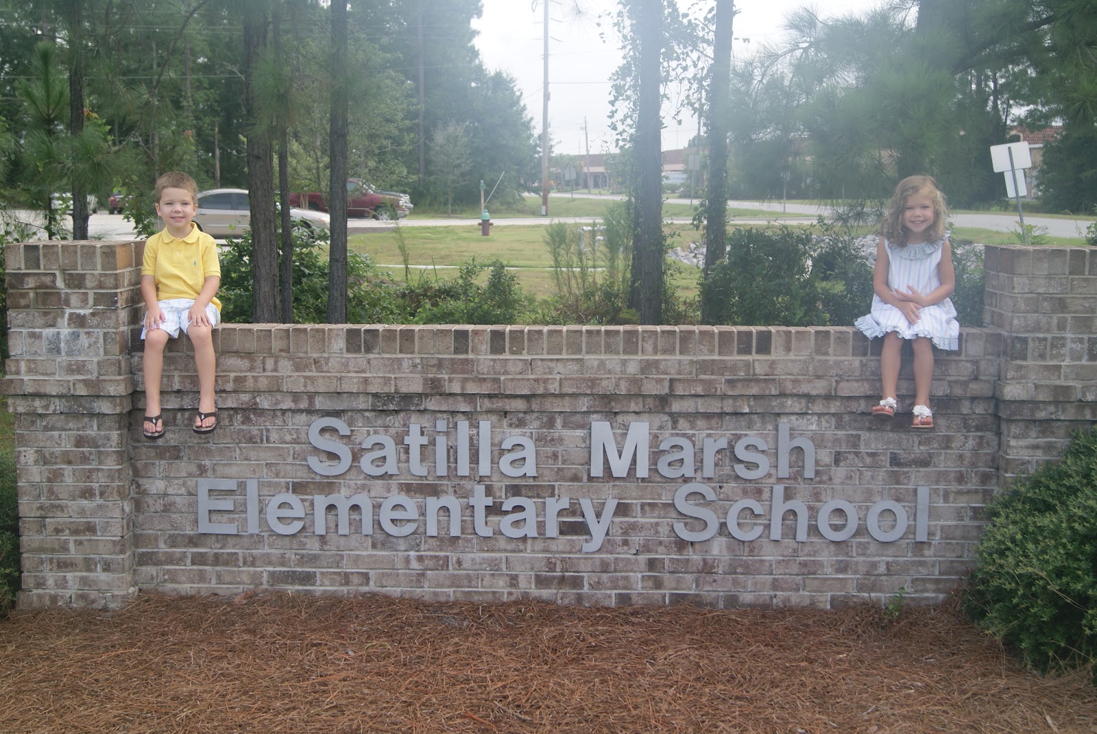 Satilla Marsh