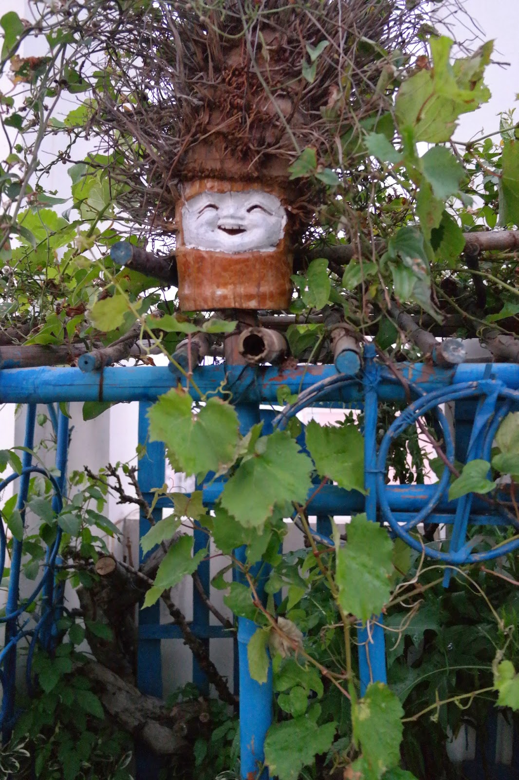 波特兰先生的博客 闲说古代中国植物分类特点