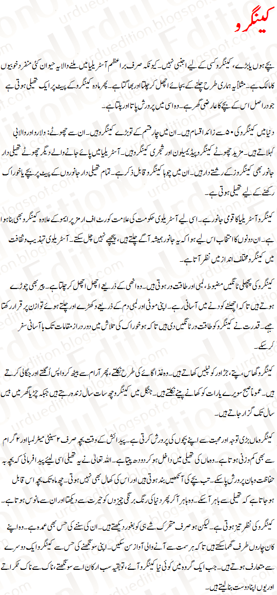 Kangaroo sentence for class 2 image