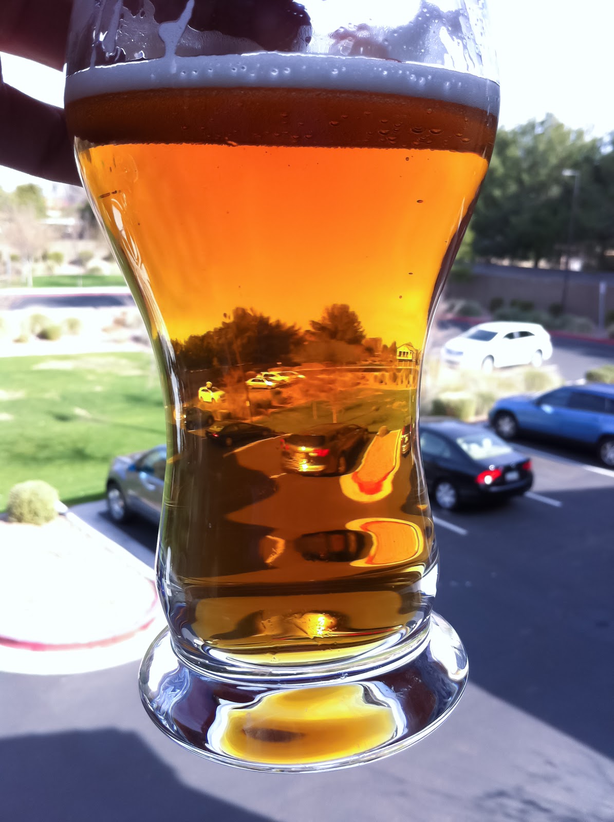 How to Fix and Prevent Chill Haze Bertus Brewery