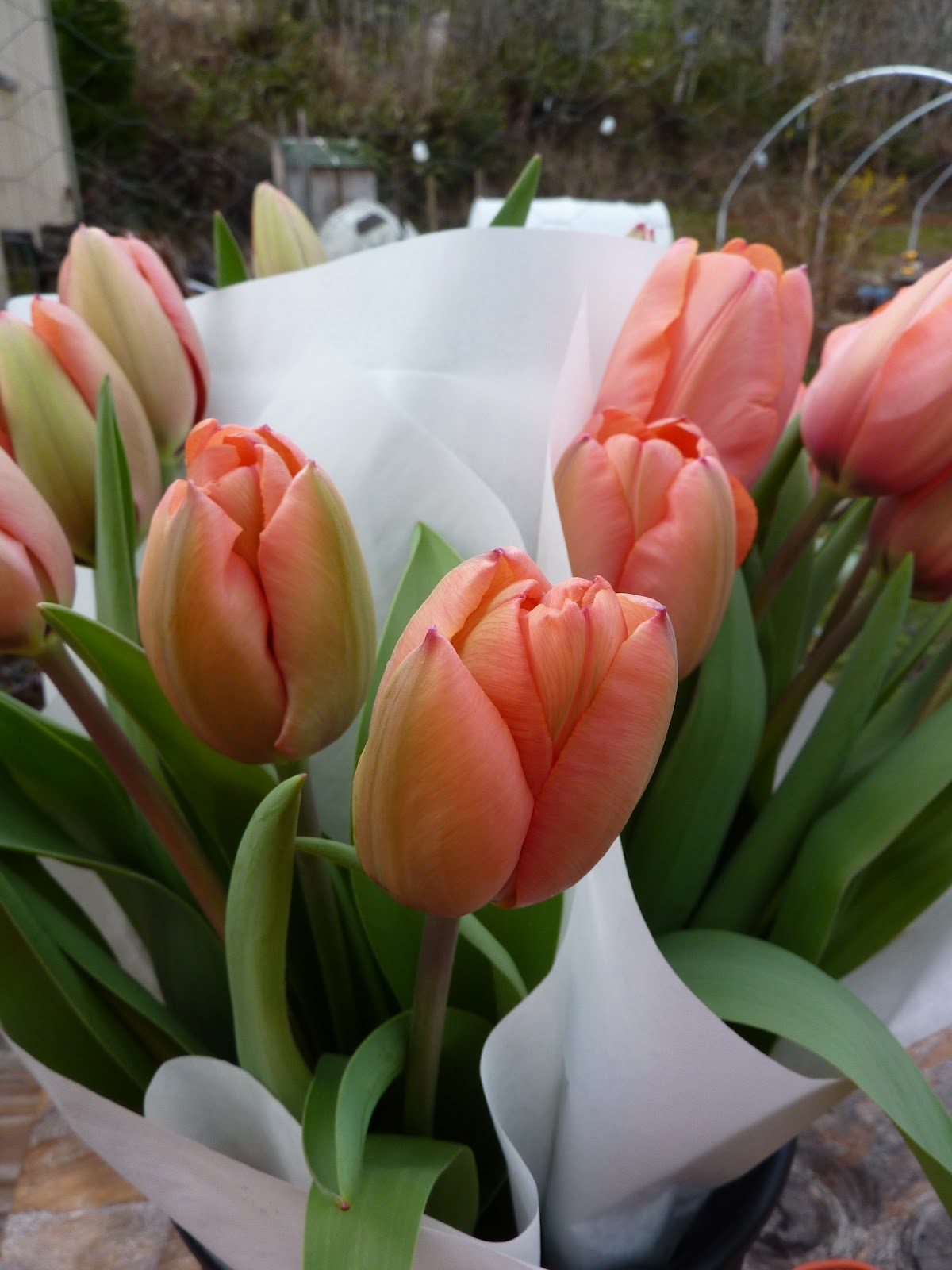 erikas fresh flowers march 2012 four letter flowers