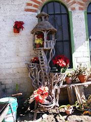 Poinsettia's adorn a humble La Cruz home at Christmas