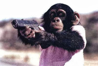 Monkey-gun+(1) Monkey-gun+(1)