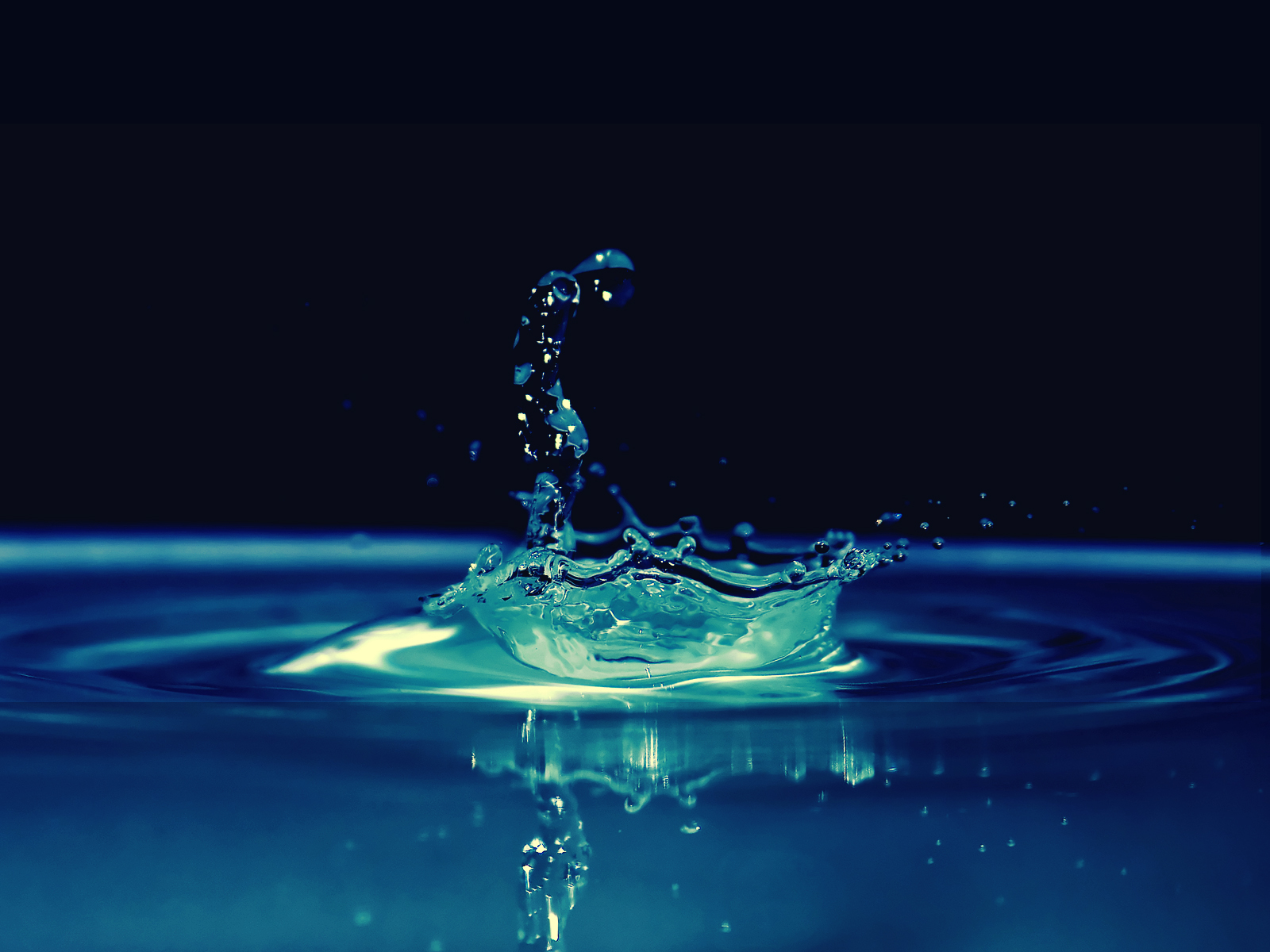 http://4.bp.blogspot.com/-9-XGKOIu1Jk/UKeWVKQcuTI/AAAAAAAADME/zYBlJu0Qs_8/s1600/Android%20Water%20Drop%20Live%20Wallpaper.jpg