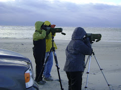 Watching for the Blows of Humpback Whales and SUCCESS!
