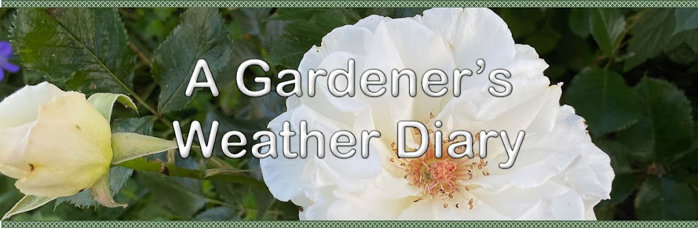 A Gardener's Weather Diary