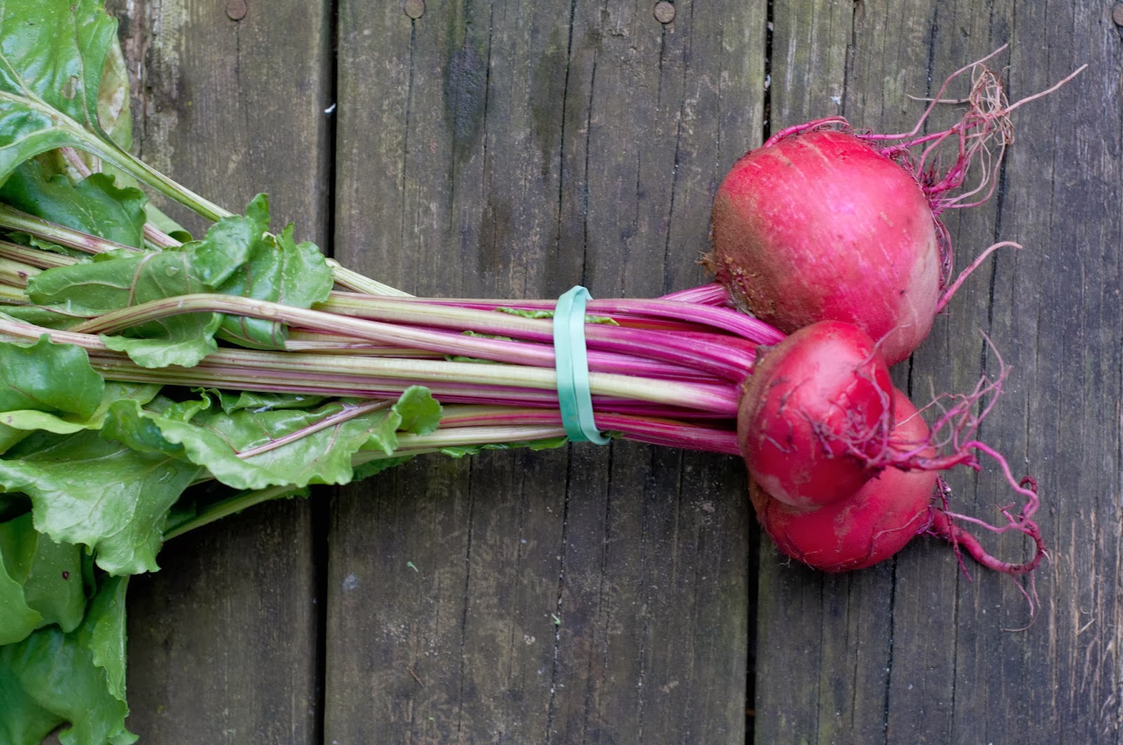 Robson's Farm Honey Pickled Beets with Onions