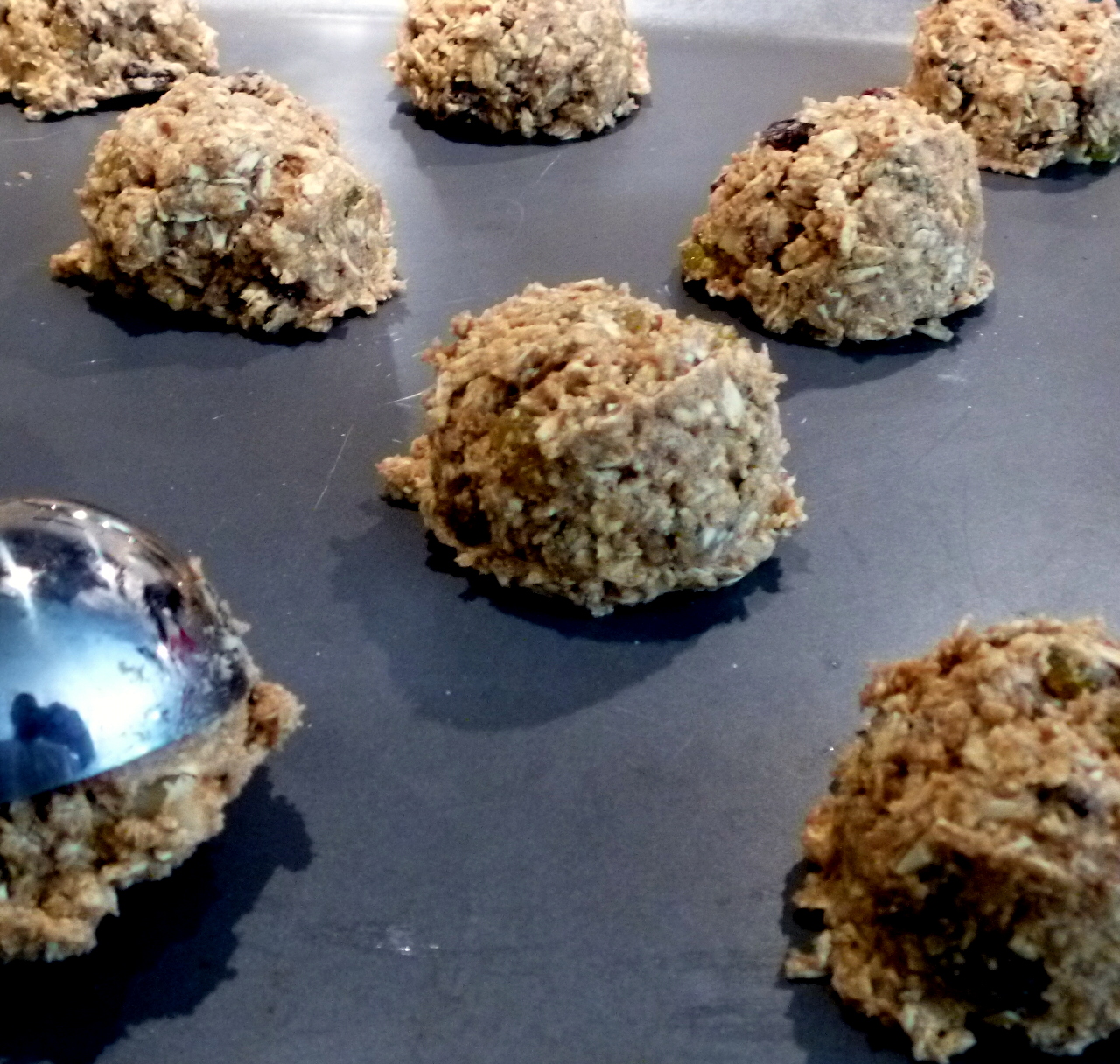 Oatmeal Treat Balls Fresh Eggs Daily®