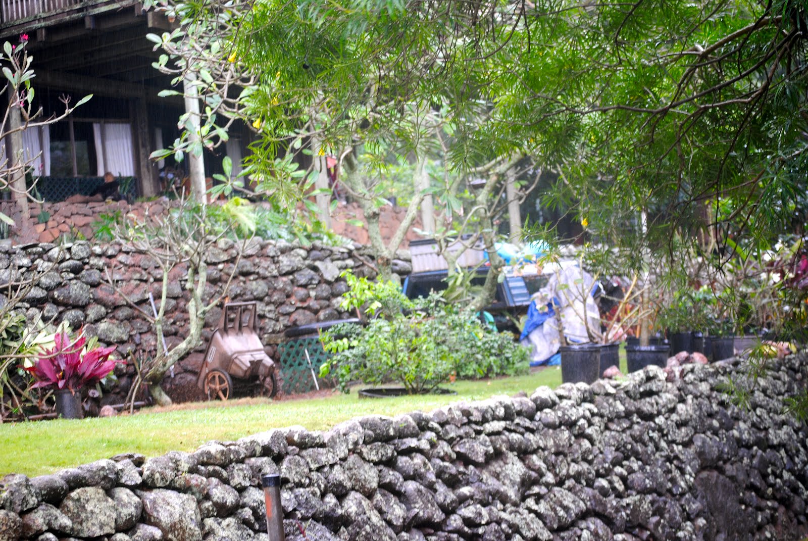 Home on the Range: TRADITIONAL HAWAIIAN HOME&hellip;&hellip;&hellip;?