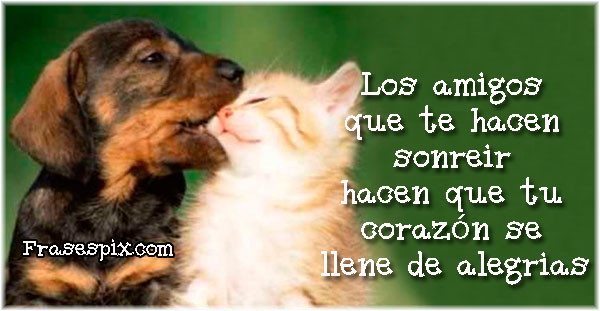 Afbeeldingsresultaat voor imagenes eres mi gran amigo